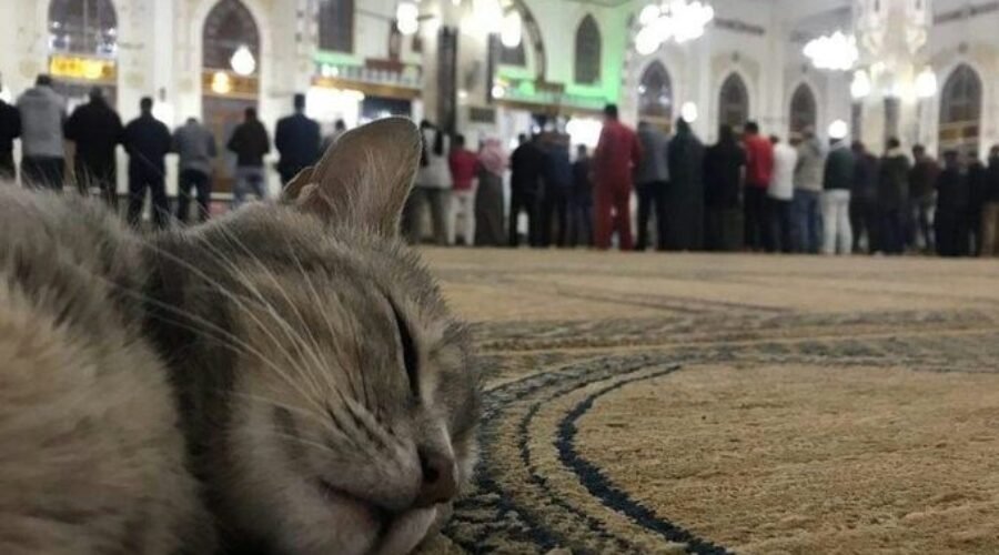 Strategi Anti-Lemas bagi Muslimah Agar Ibadah, Kerja, dan Urusan Domestik Tetap Balance