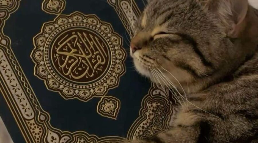 Menemukan Kedamaian di Dalam “Rumah” Terindah: Hati yang Bersyukur